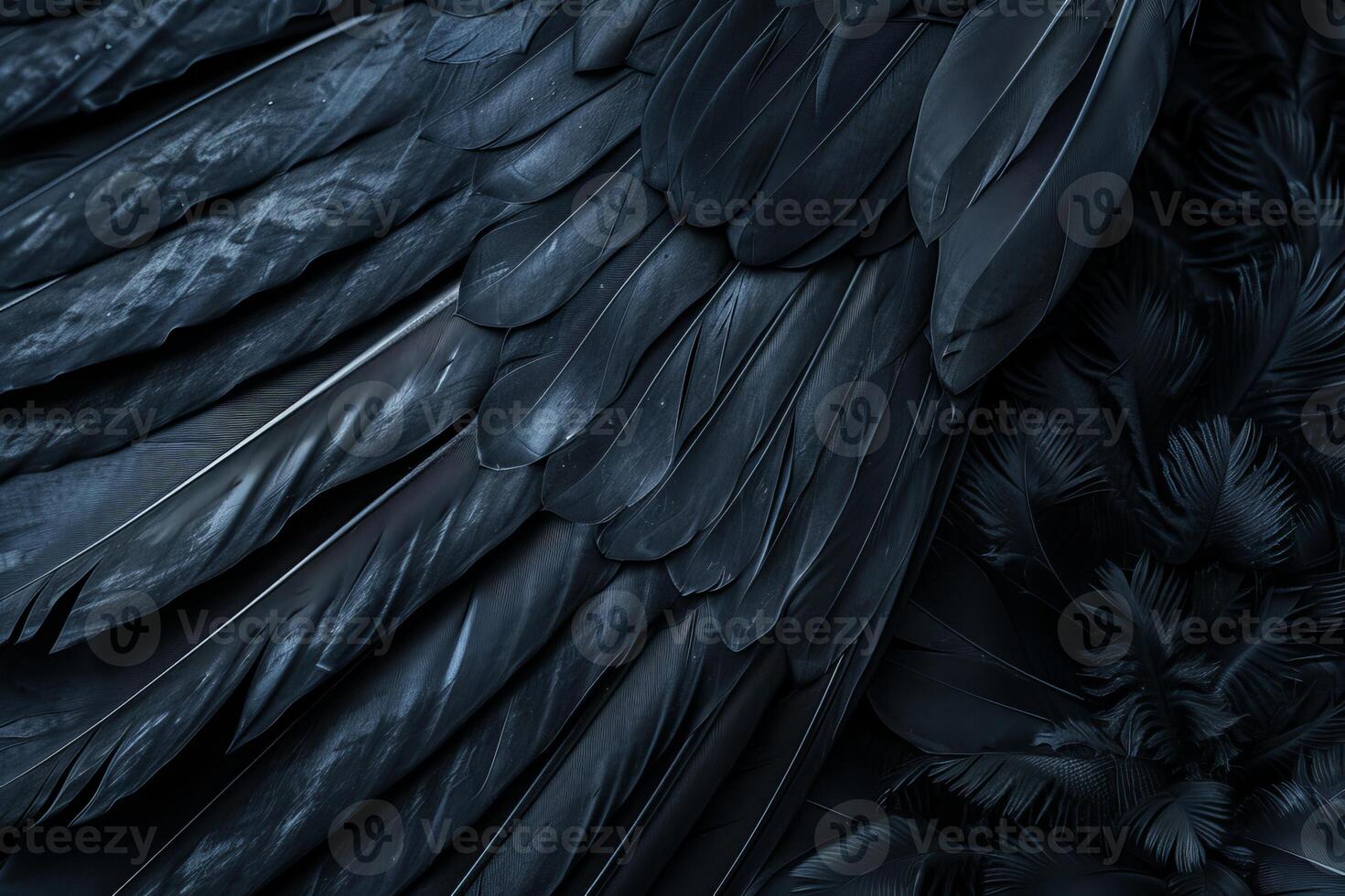 Close up macro view of black feathers creating a moody and textured background photo