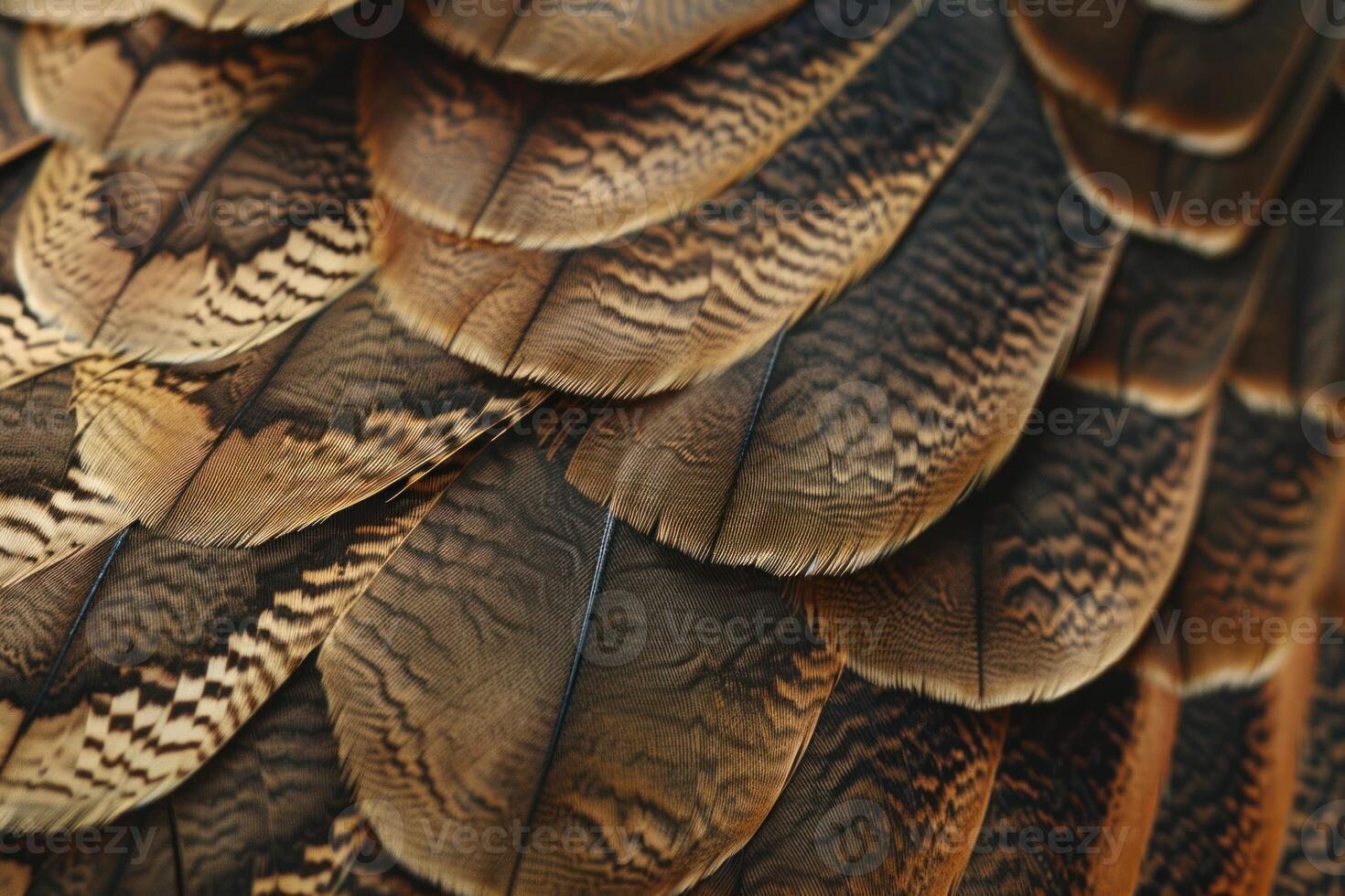 Beautiful brown and beige feathers creating a soft textured background photo