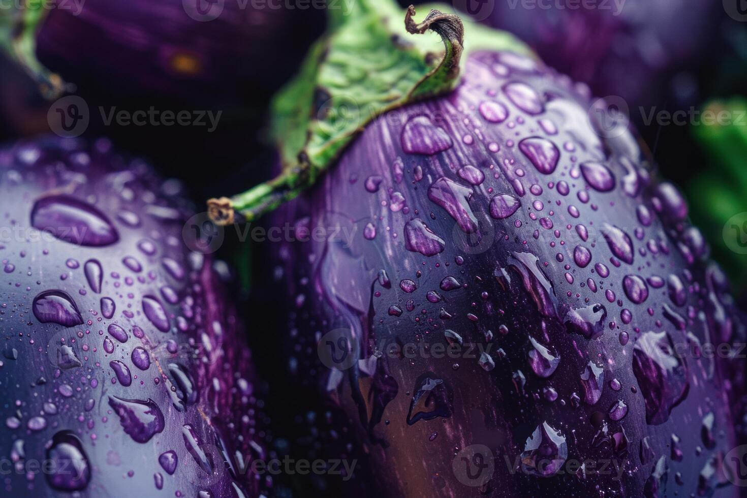 Fresh eggplants with water droplets creating a vibrant close up photo
