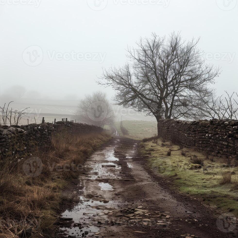 Muddy path leading through stone walls on a foggy day photo