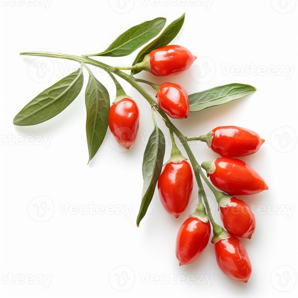 Sprig of fresh goji berries with leaves on white background photo