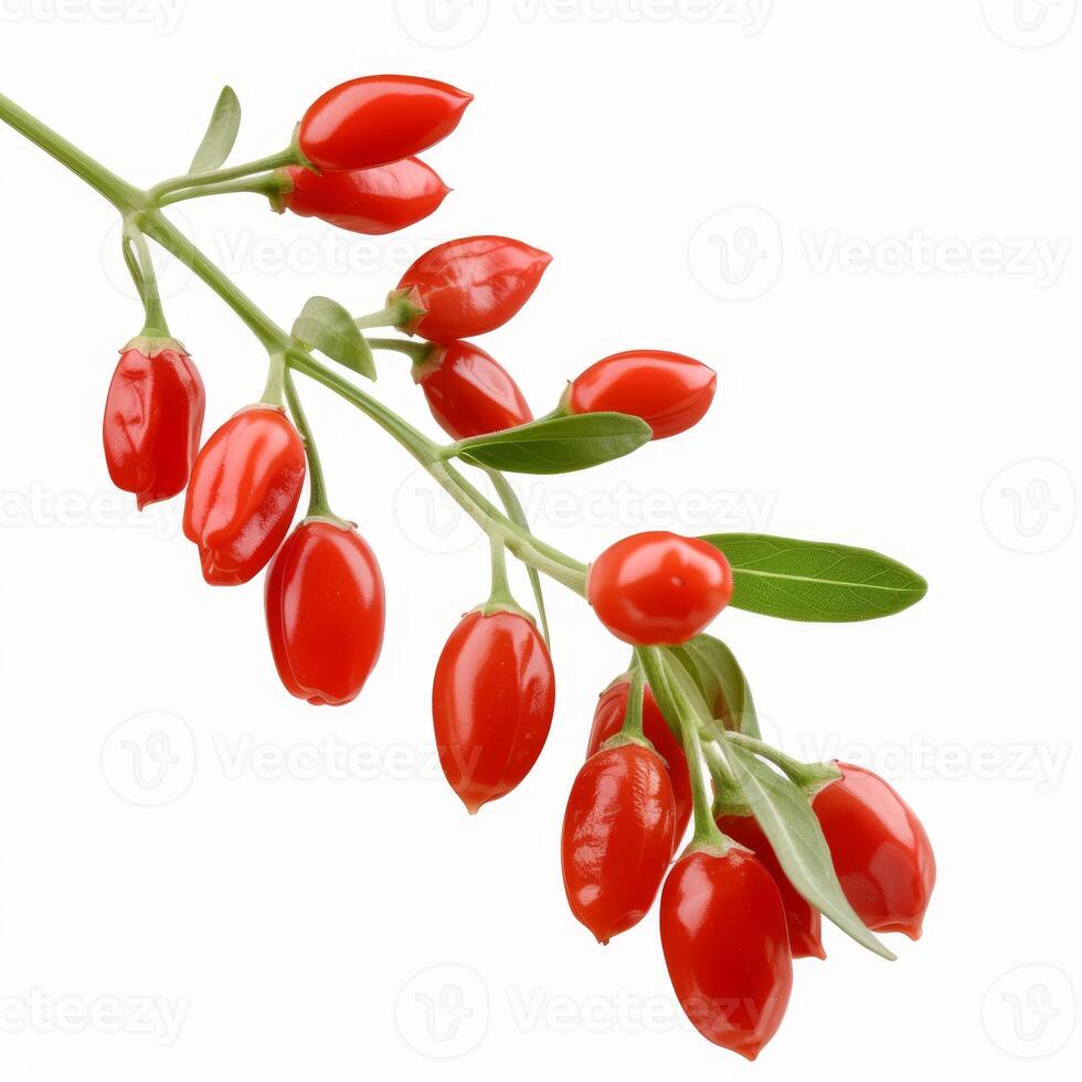 Branch of goji berries hanging on white background photo