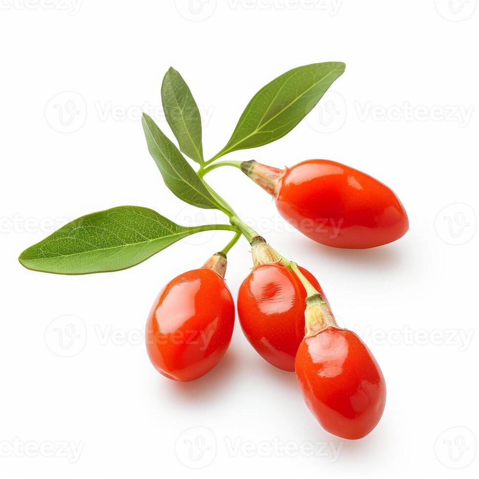 Branch of goji berries with green leaves isolated photo