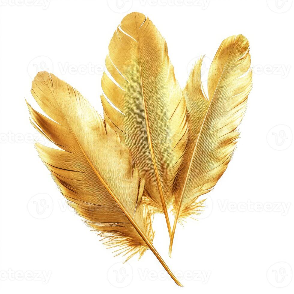 Three golden feathers isolated on white background photo