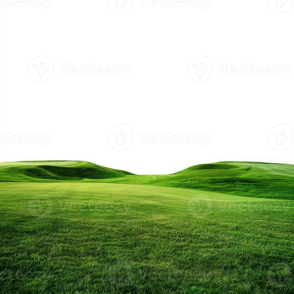 Green grass covering rolling hills under white sky photo