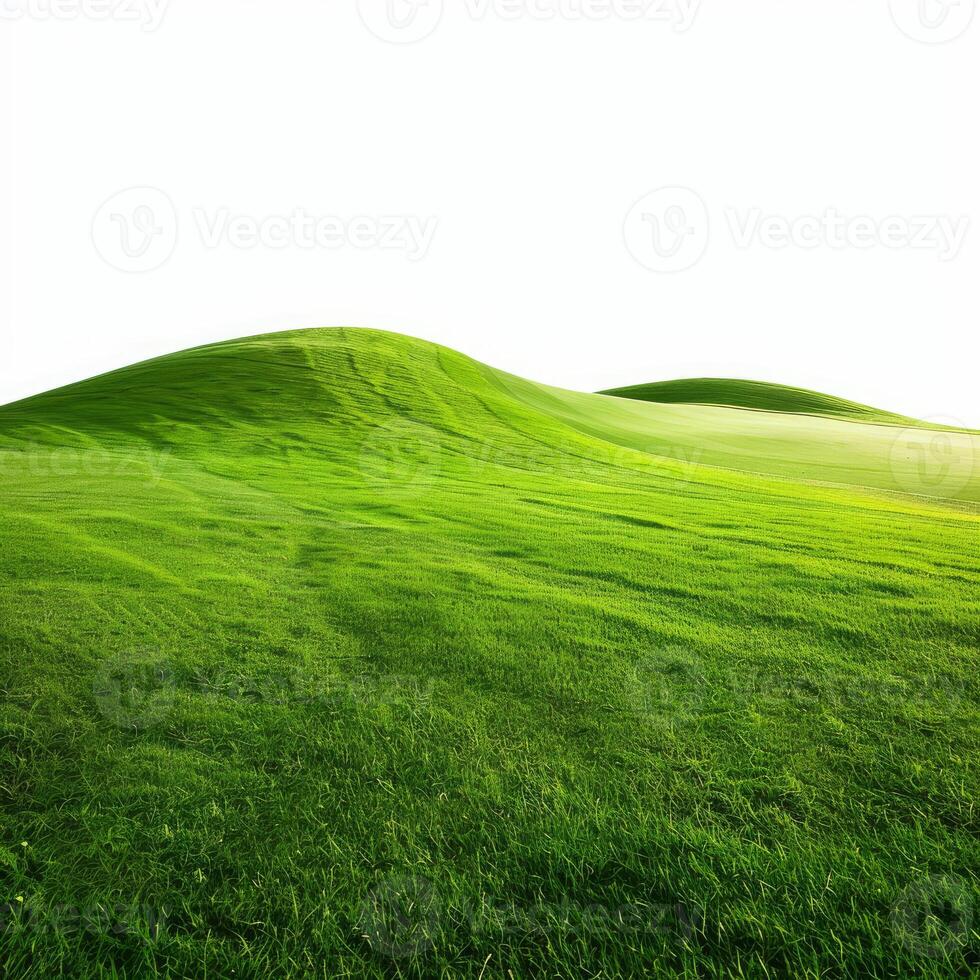 Green grass growing on rolling hills under blue sky photo