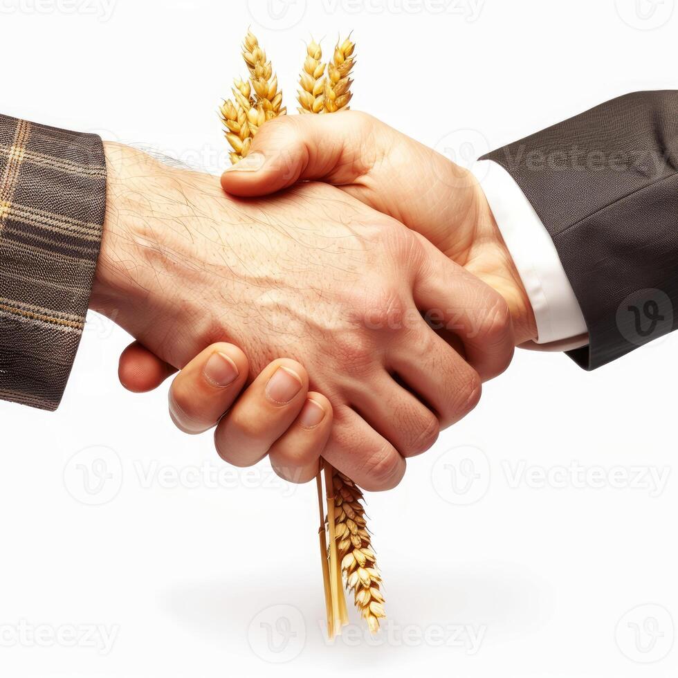 Businessman and farmer shaking hands holding wheat crop photo