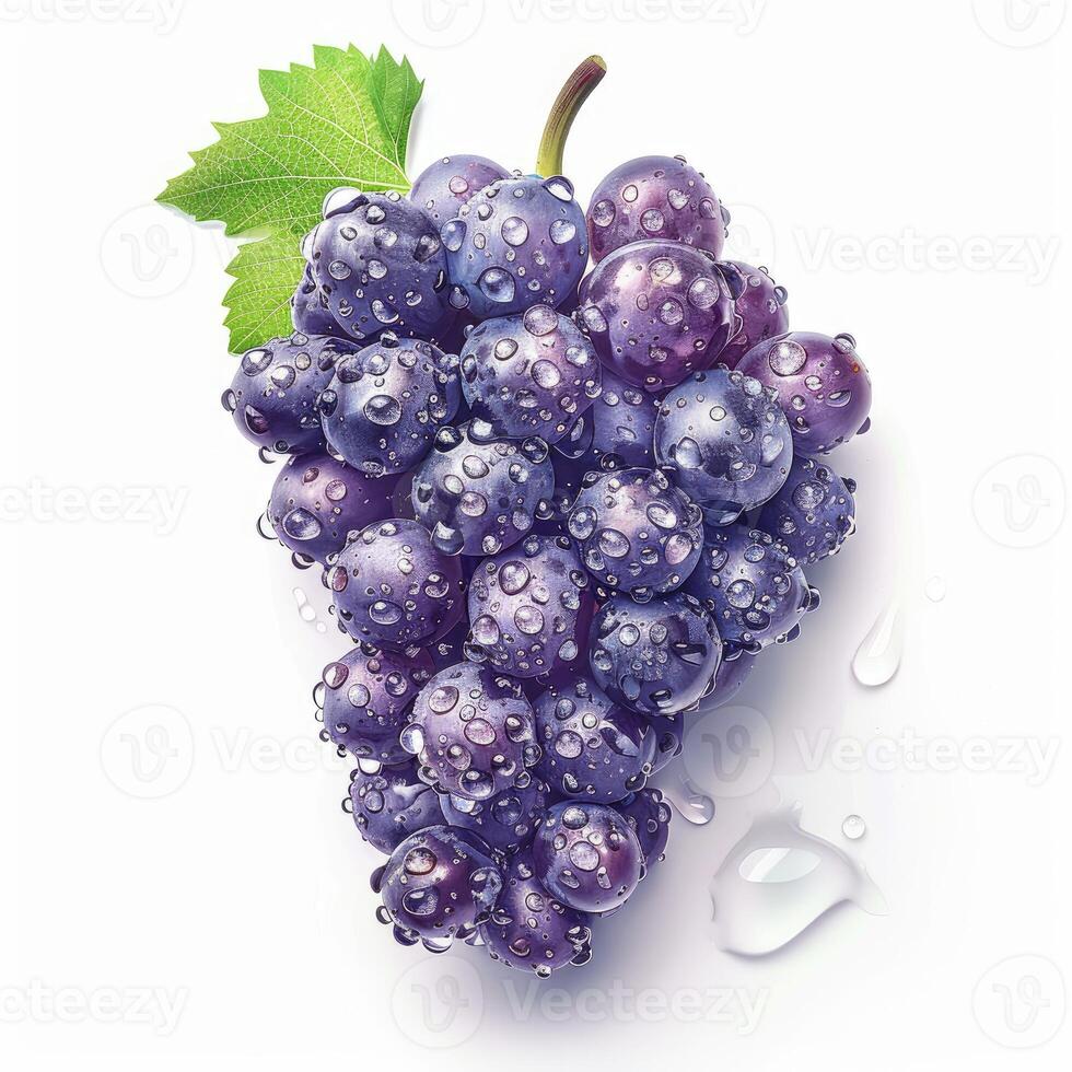 Bunch of purple grapes covered with drops of water, isolated on white background photo