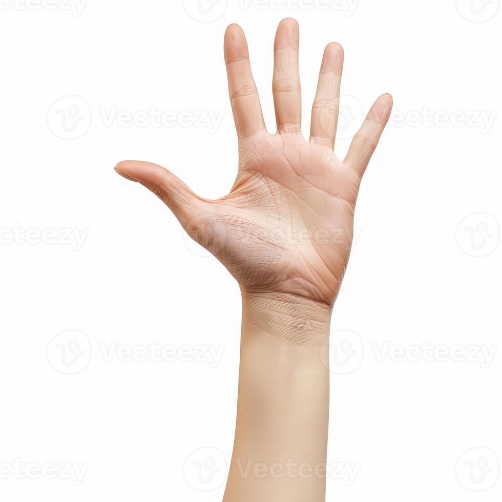 Woman hand showing five fingers on white background photo
