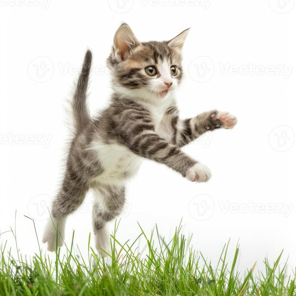 Playful kitten jumping over green grass on white background photo