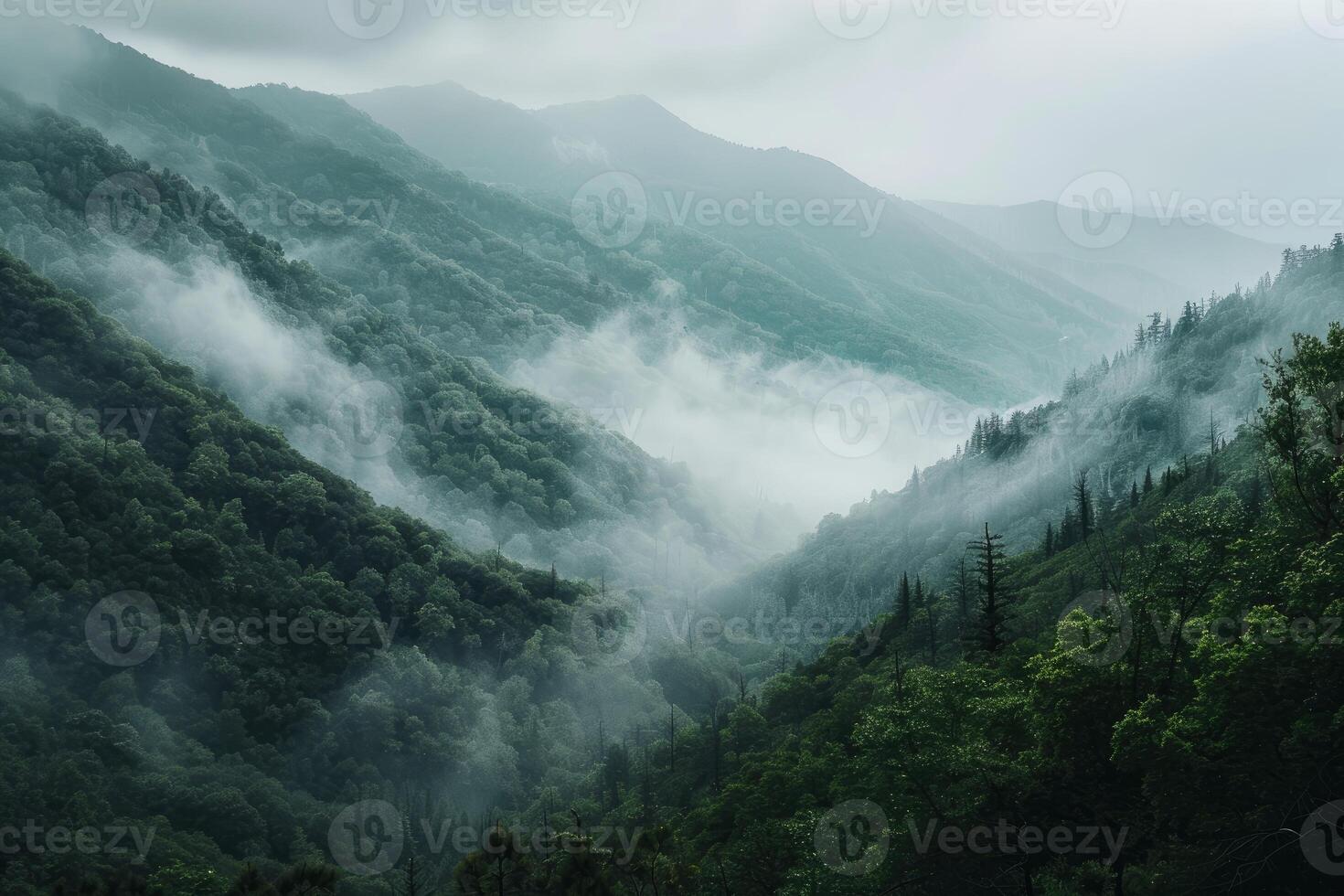 Fog rolling through lush green mountain valley in great smoky mountains national park photo