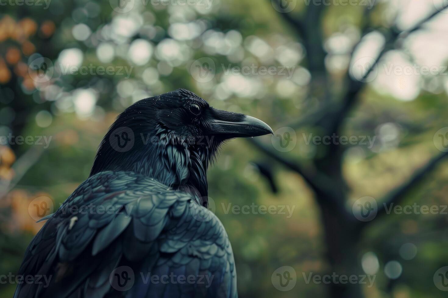 Large black raven perched majestically, observing verdant surroundings photo