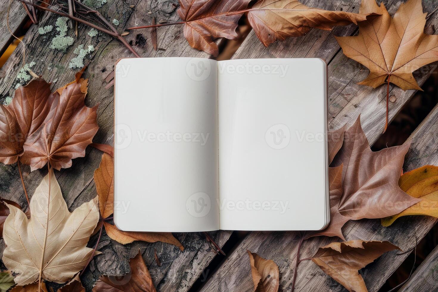 Open notebook lying on wooden table decorated with autumn leaves photo