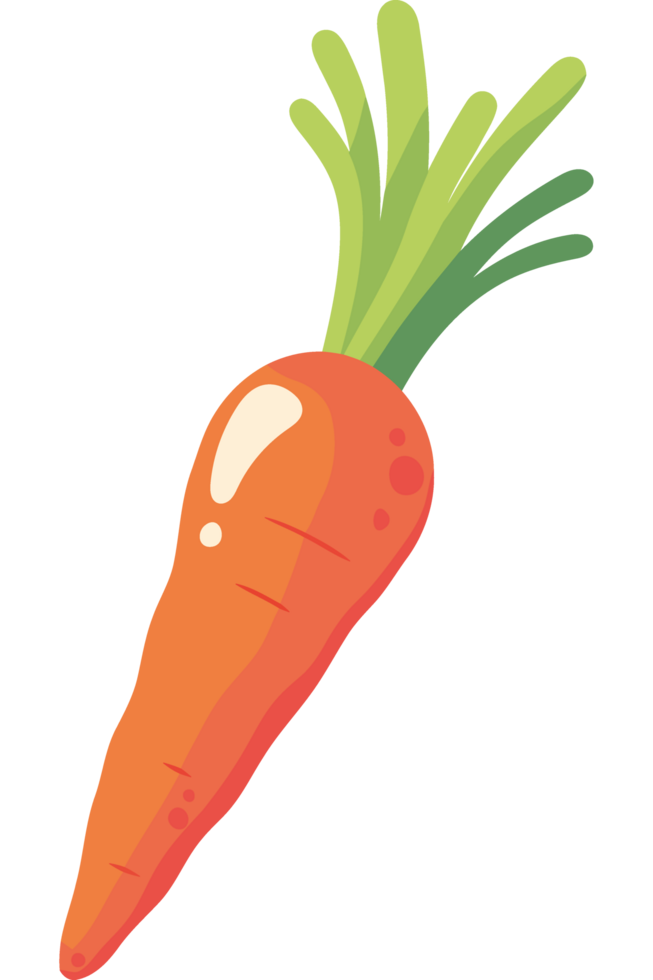 Carrot icon isolated png