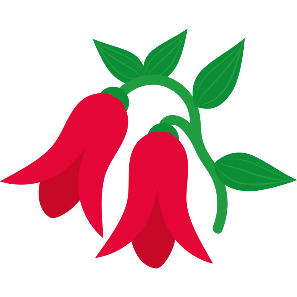 Red copihues icon isolated png