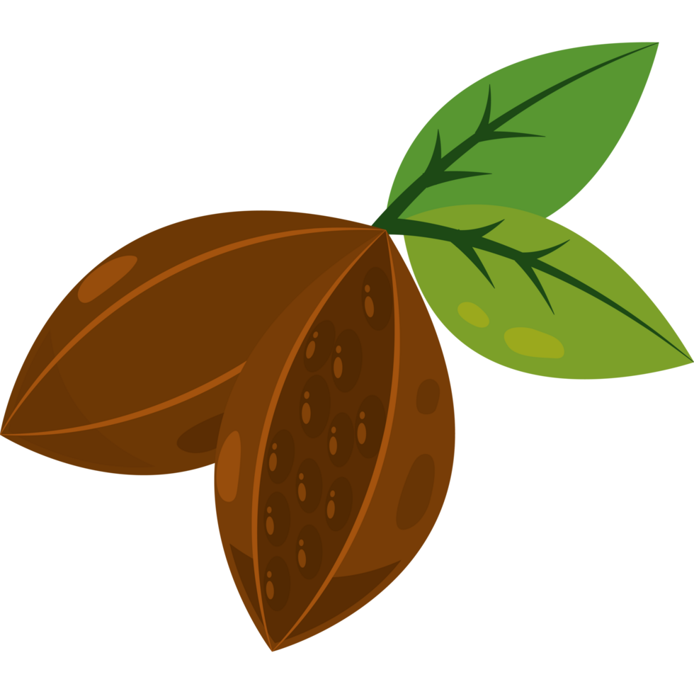 Two cocoa beans icon isolated png