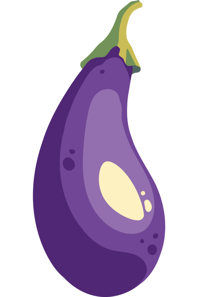 An eggplant icon isolated png