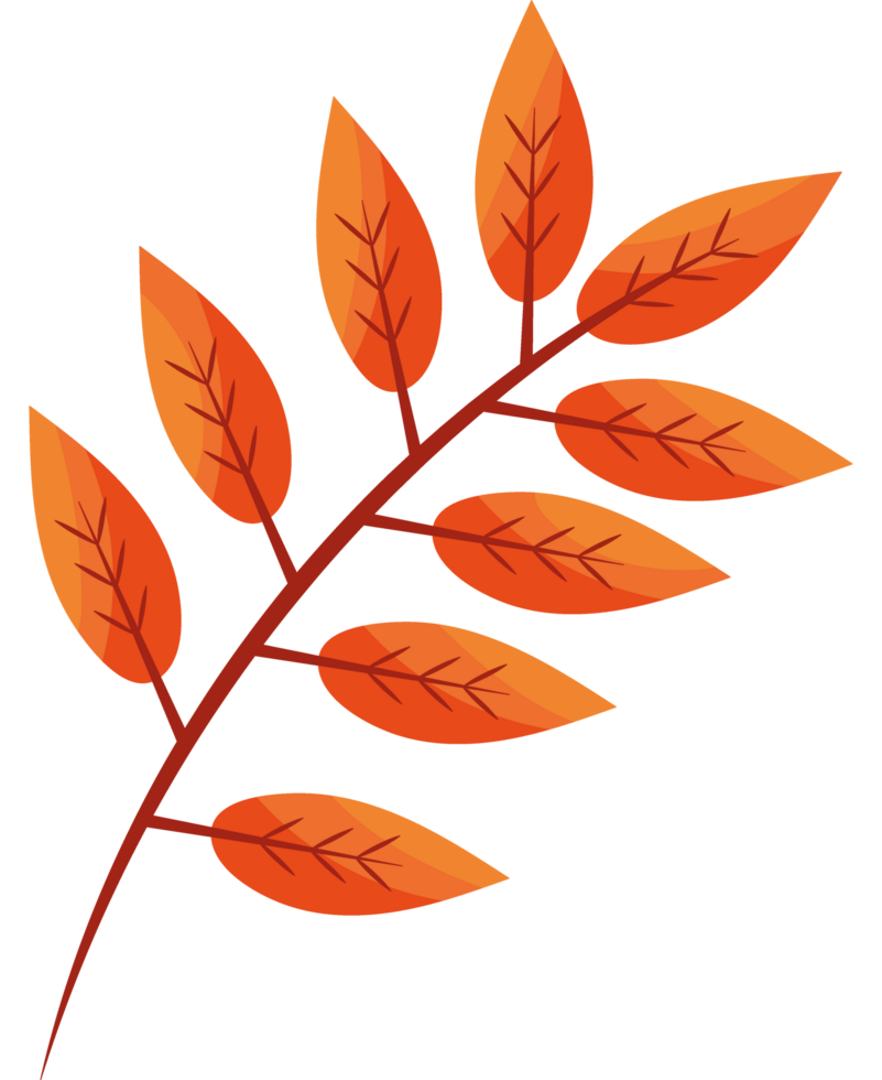 dry branch autumn icon isolated illustration png