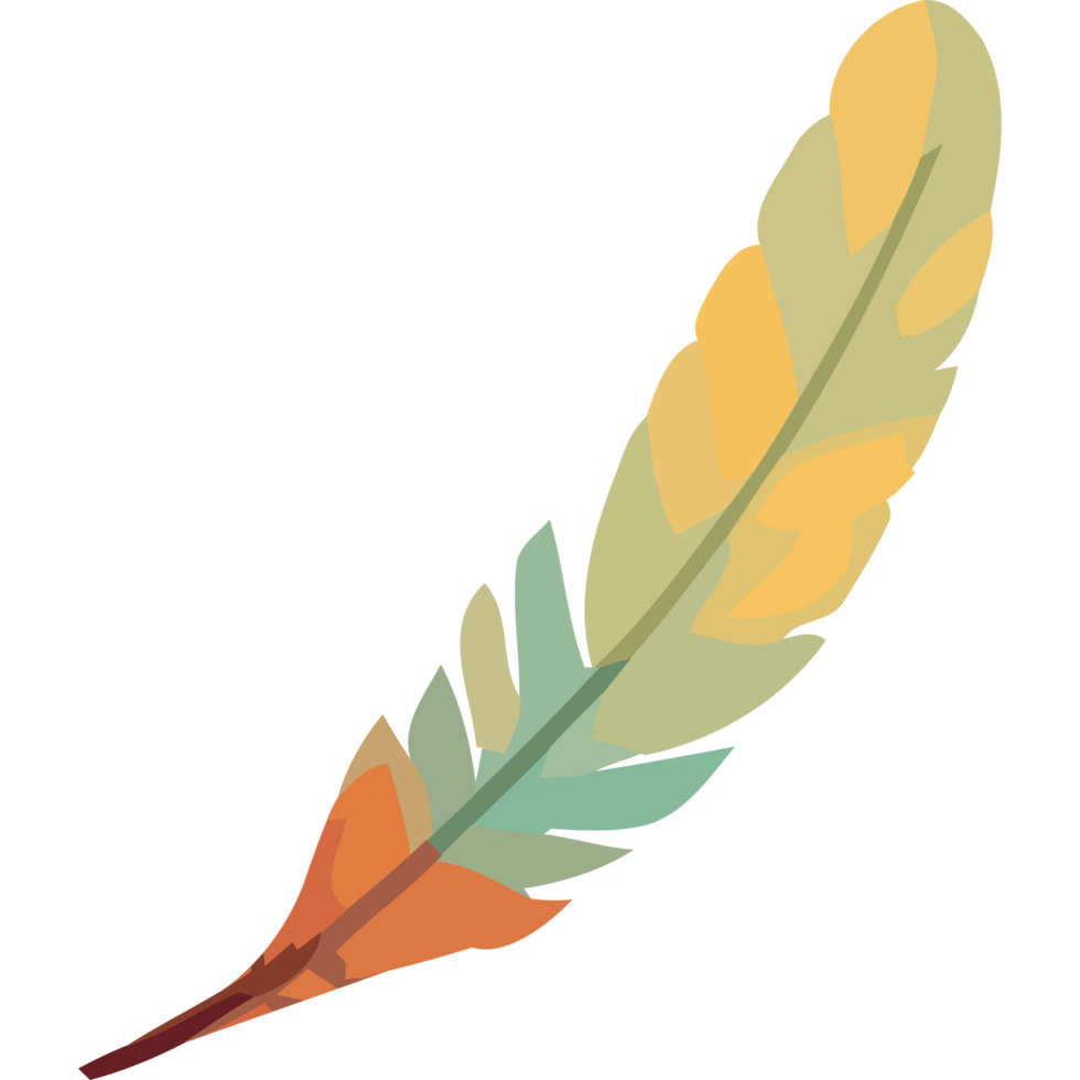 Feather isolated design png