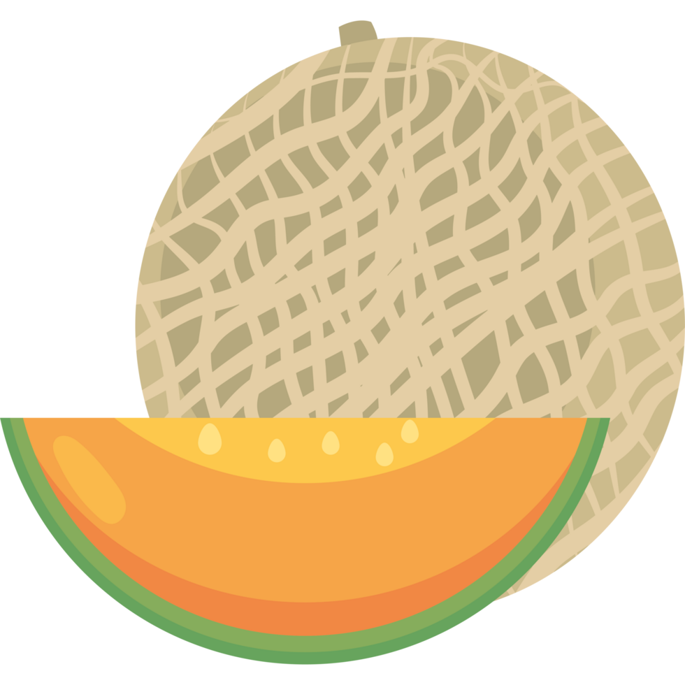 melon fruit icon isolated png