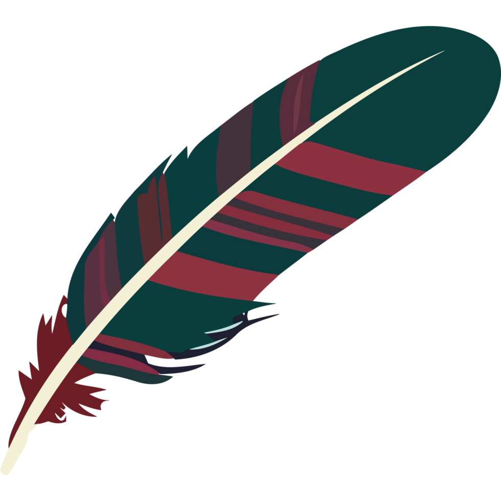 Feather isolated design png