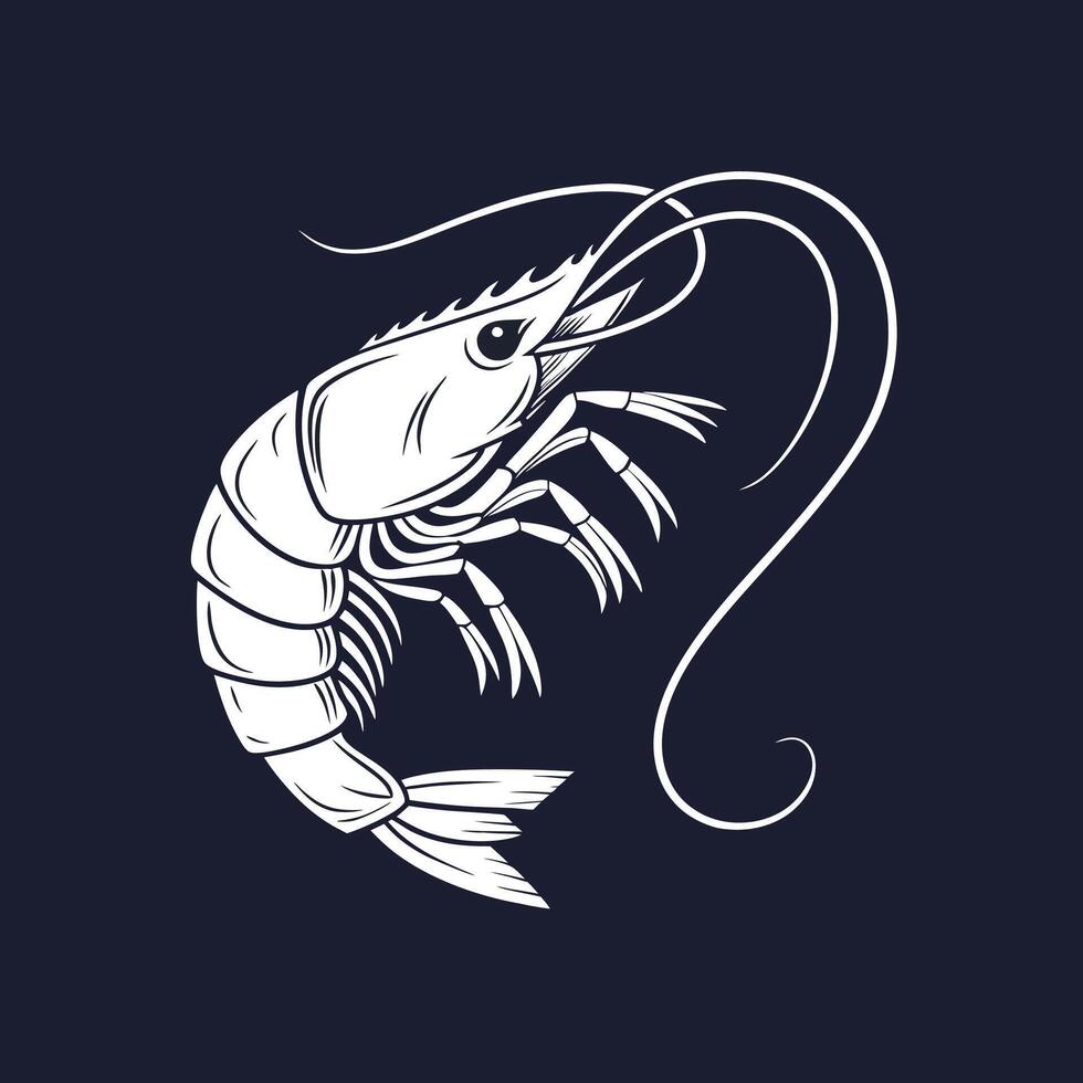 White Shrimp illustration vector