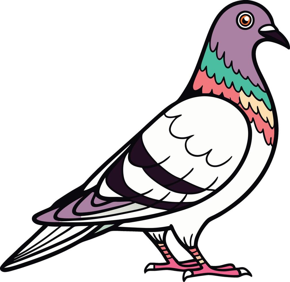 Colorful Pigeon Illustration vector