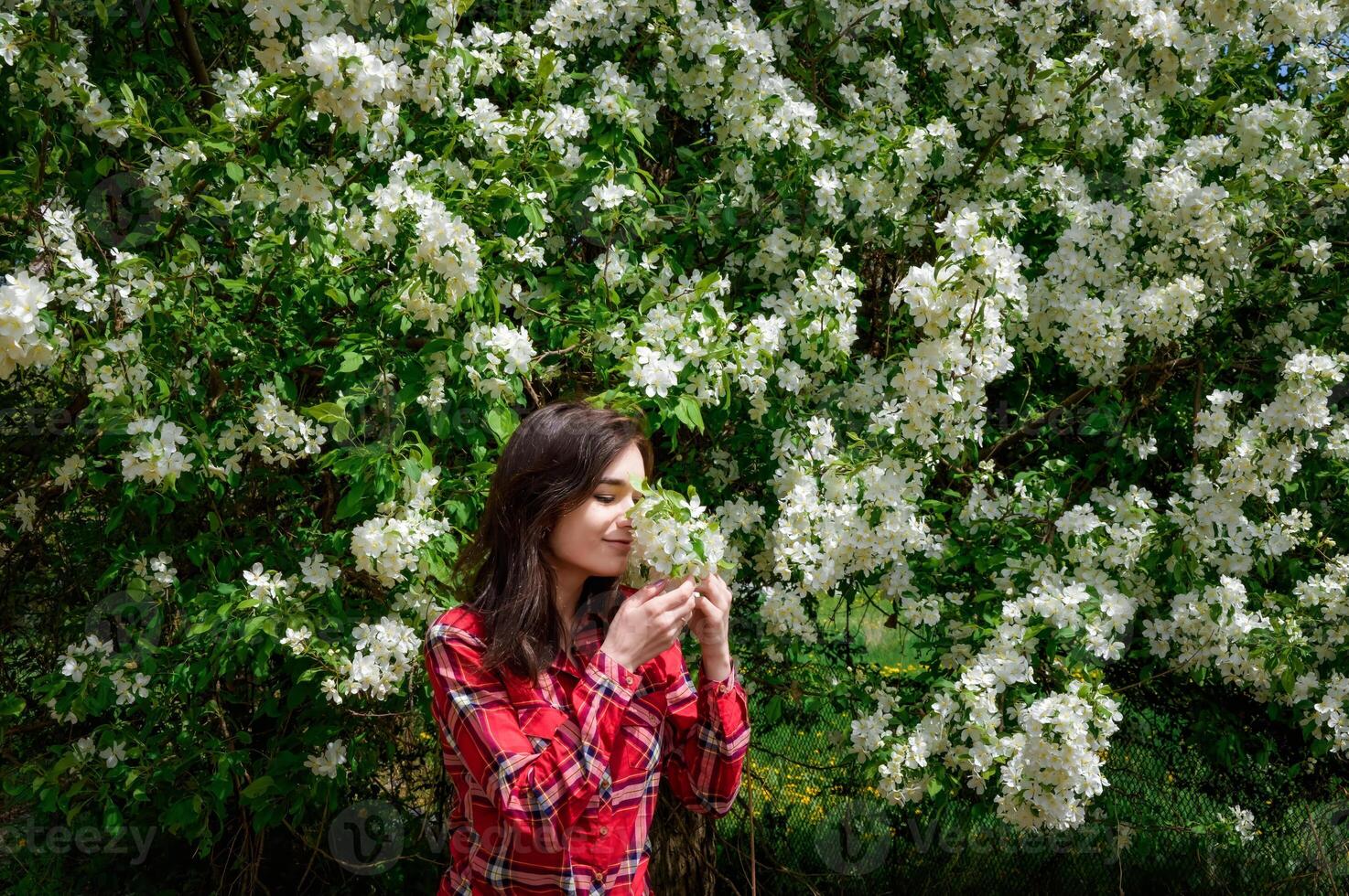 A young Russian brunette woman in a red plaid shirt smells a blooming apple tree branch in spring, surrounded by lush white blossoms in a peaceful garden photo