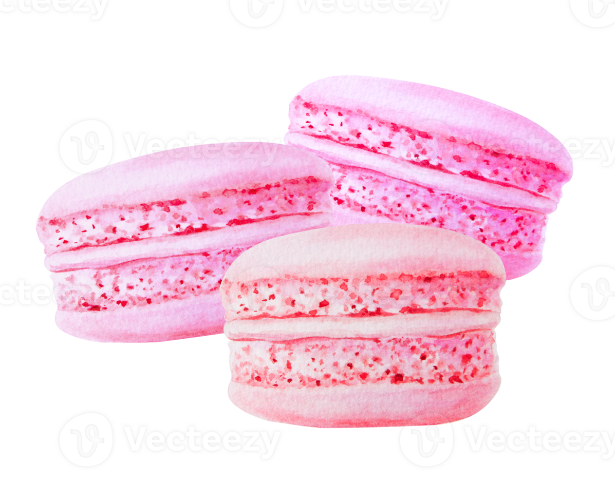 Pink watercolor illustration of three pink macarons, detailed and appetizing stacked together, perfect for brunch, bakery branding, Valentine's Day, Mother's Day, bachelorette party or holiday png