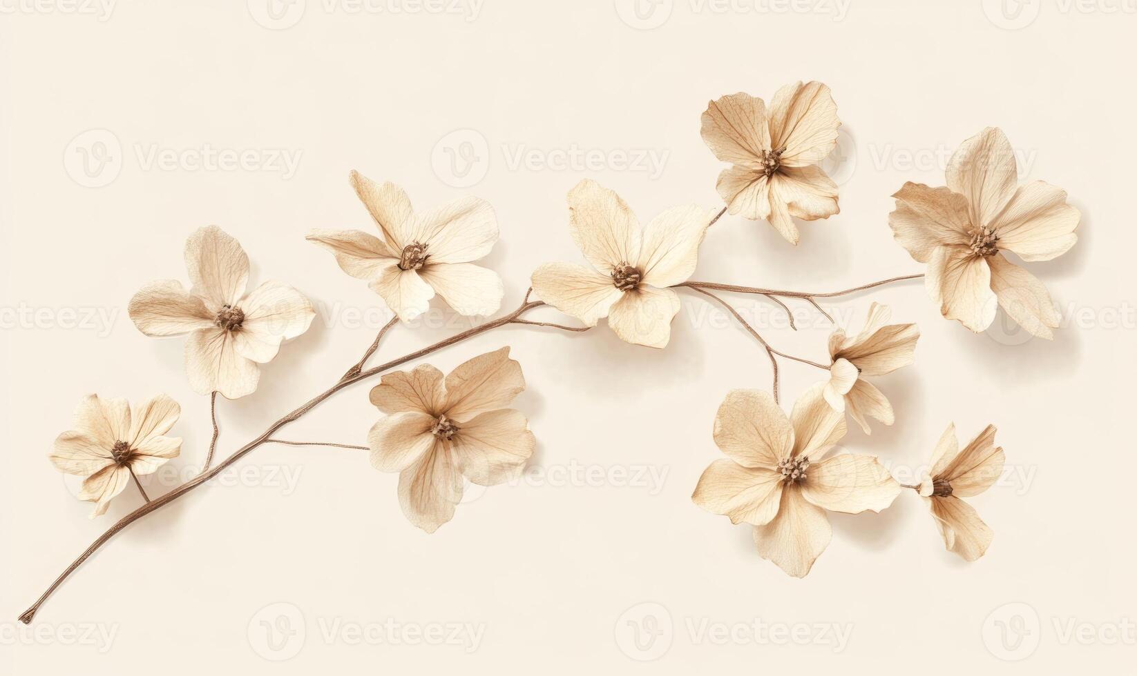 A branch with flowers on it photo