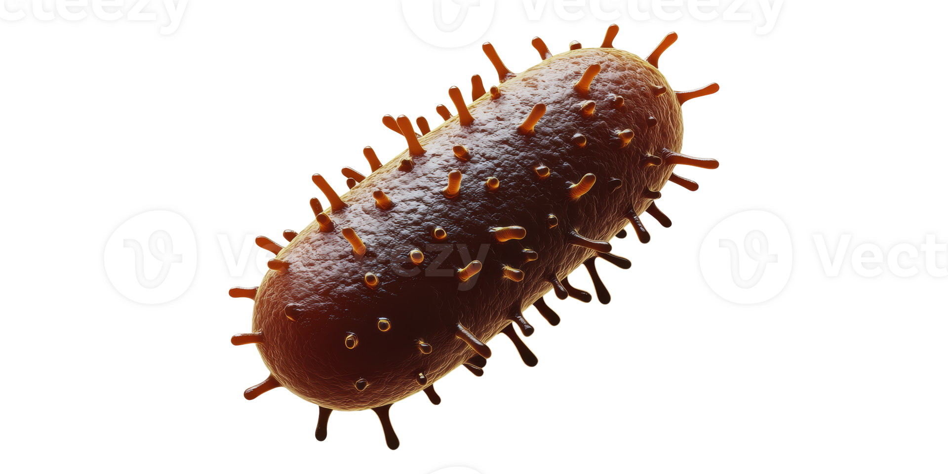3D Bacterium Illustration Isolated on Transparent Background png