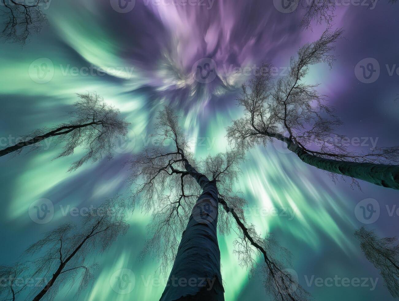 Majestic Aurora Borealis over a Winter Forest photo