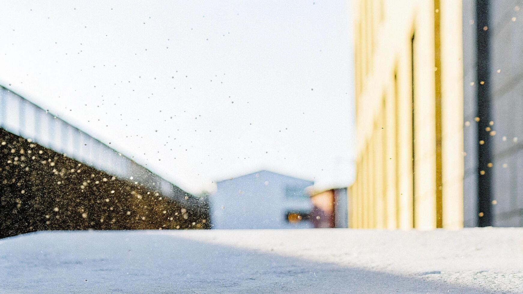 Macro shot of dust particles on a city alleyway photo