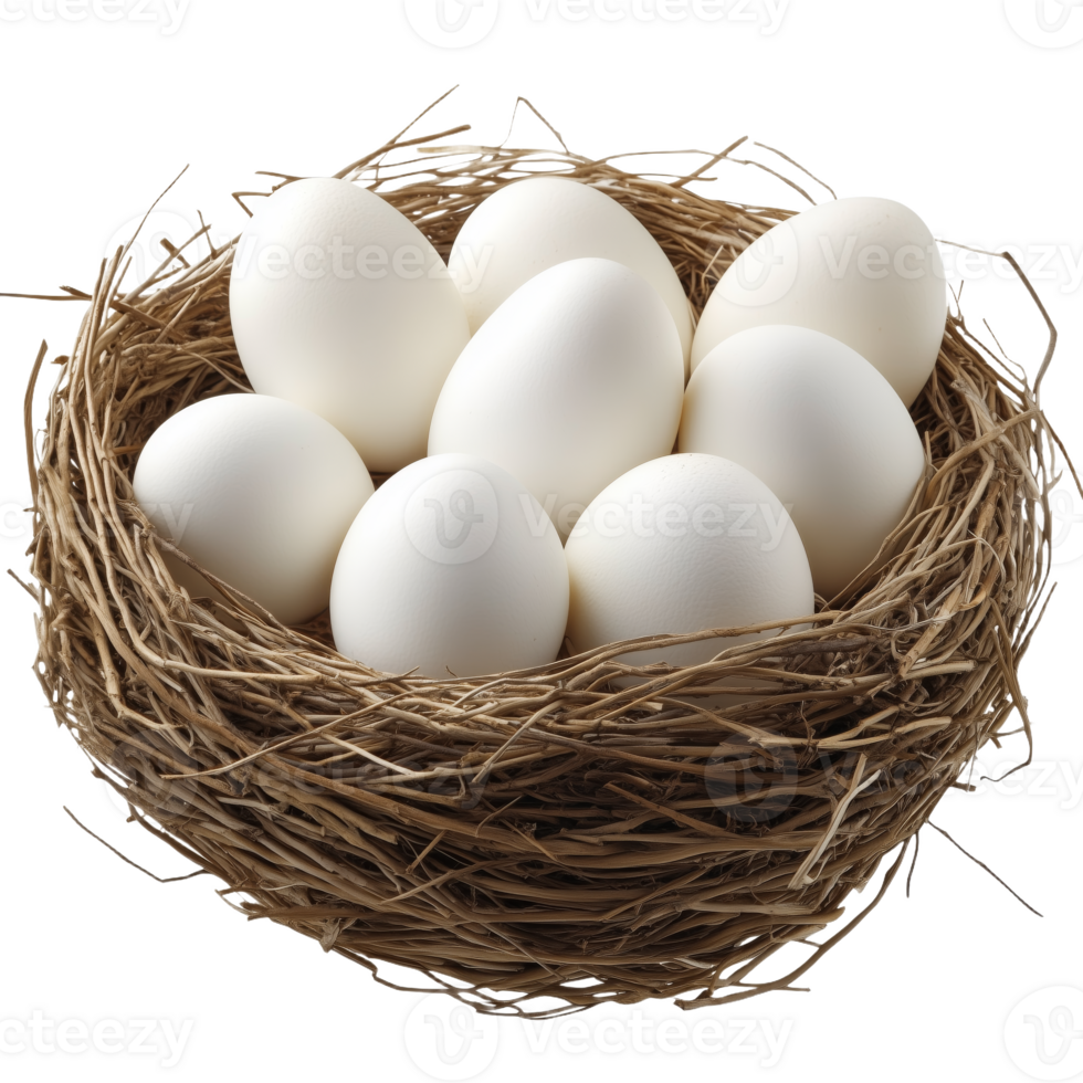A Collection of Fresh White Eggs Nestled in a Natural Setting png