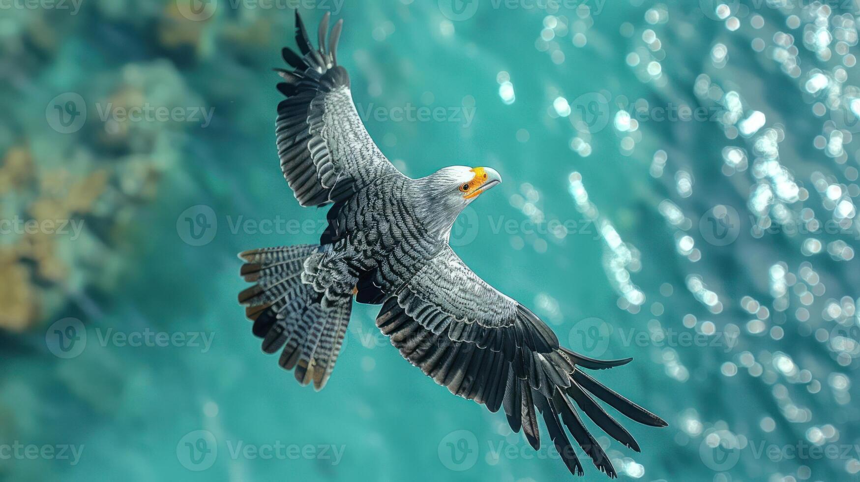 Majestic eagle soaring over turquoise waters, showcasing nature's beauty and freedom photo