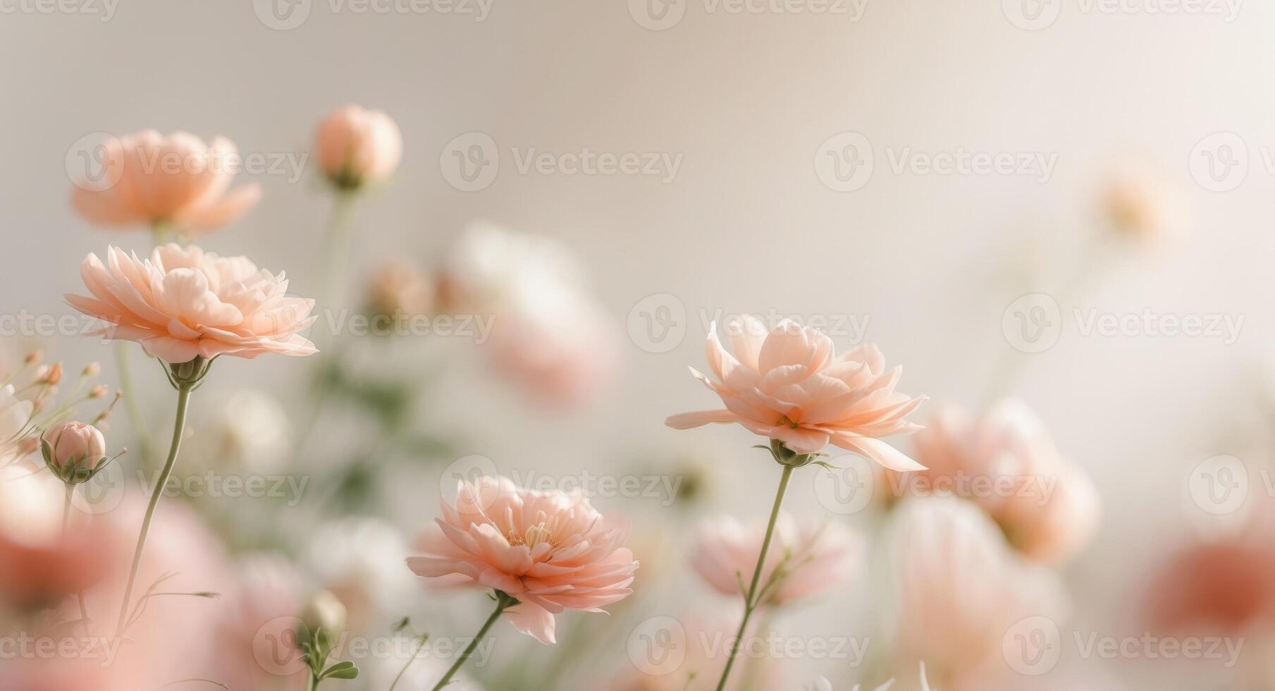 Charming floral background great for social media and marketing materials. photo