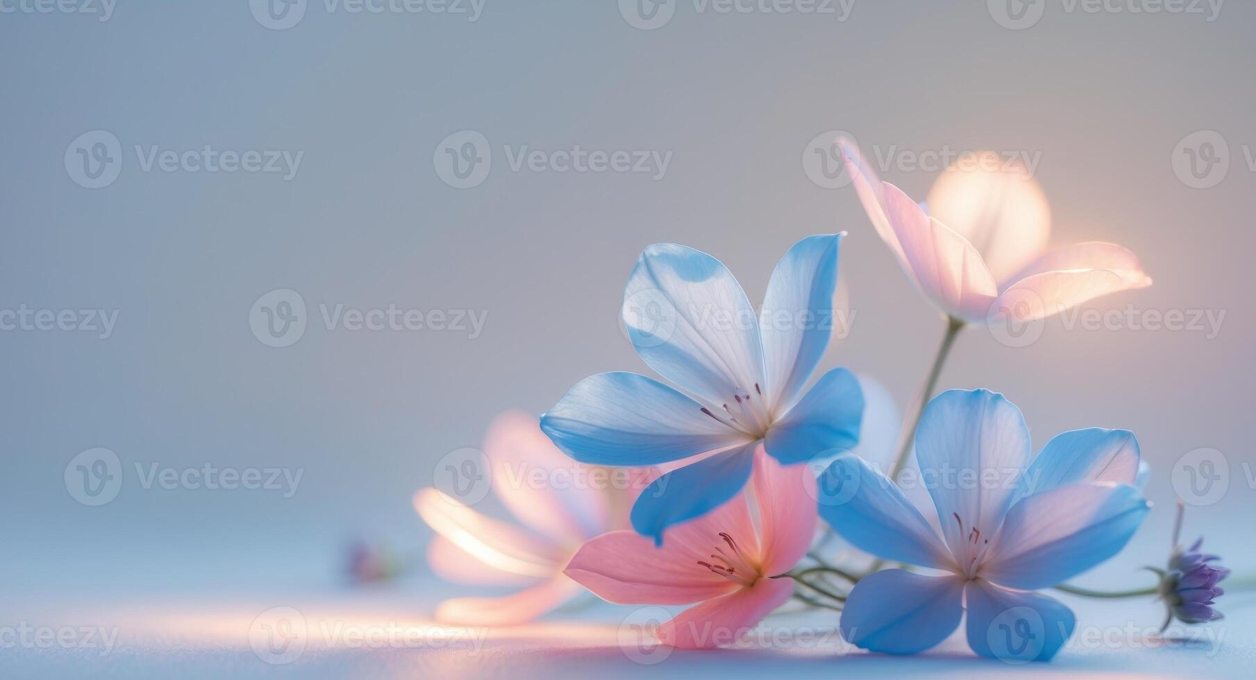 Glowing blue and pink flowers with soft lighting in a dreamy atmosphere. photo