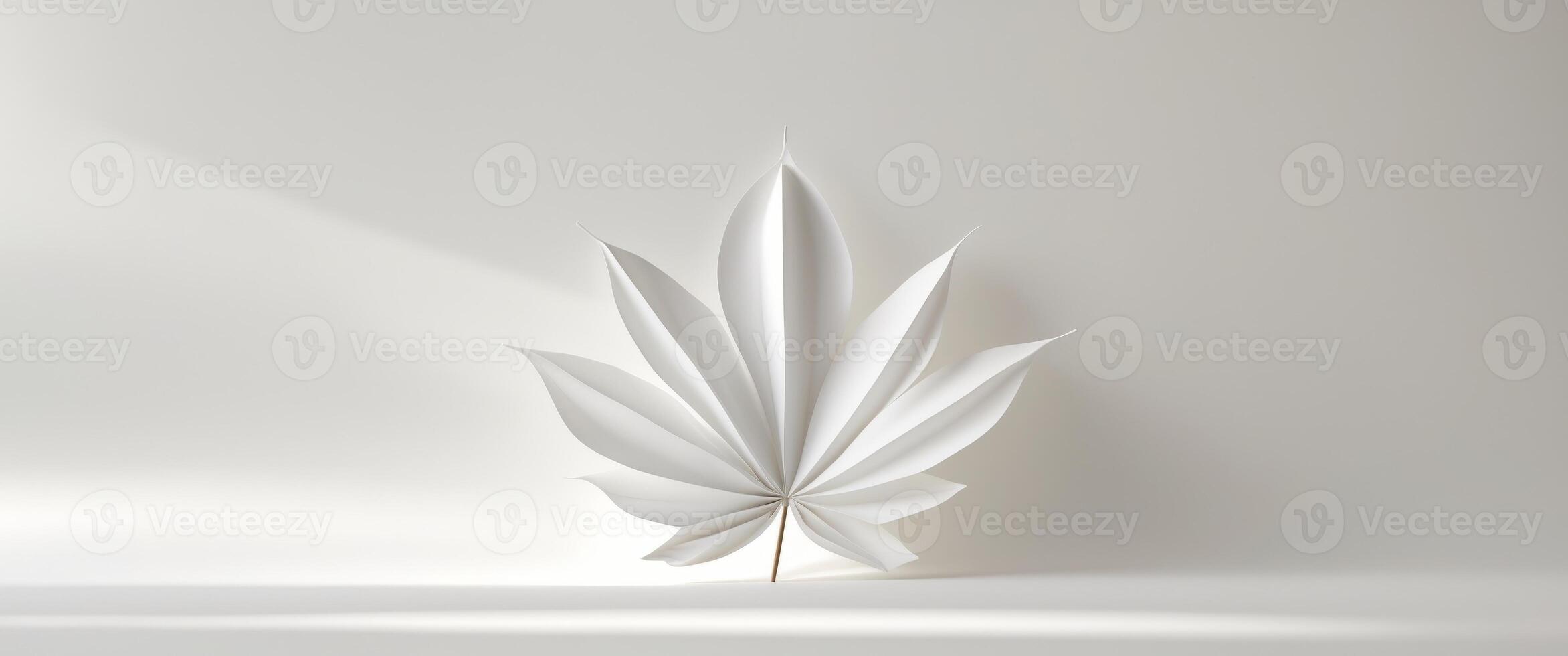 white leaf paper texture , copy space concept for wallpaper or background. photo