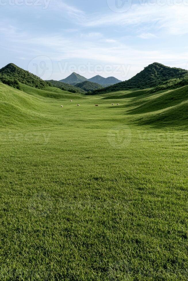 Rolling green hills and grazing cattle under a clear sky photo