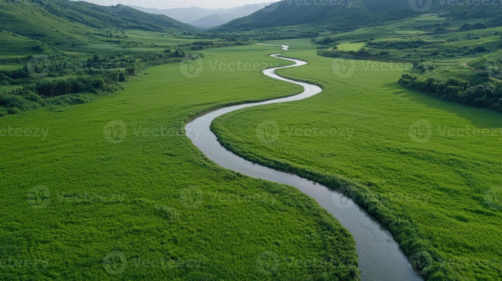 An aerial view of a winding river flowing through a lush green valley. photo
