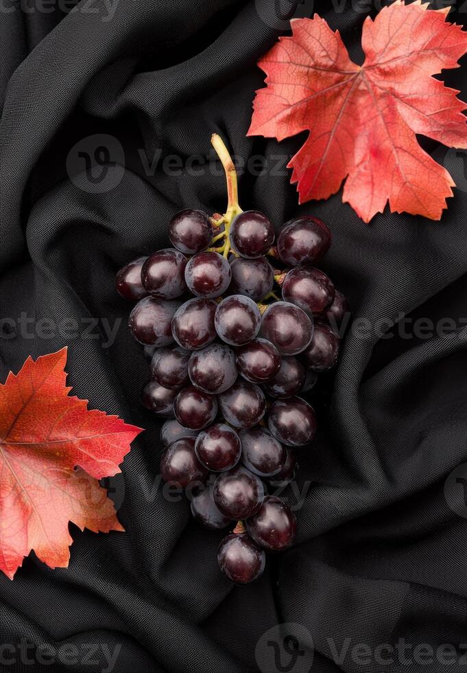 Red wine grapes on black silk photo
