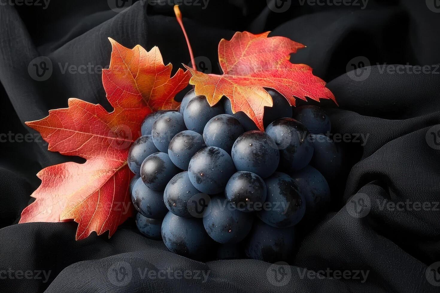Dark grapes with autumn leaves on black fabric photo