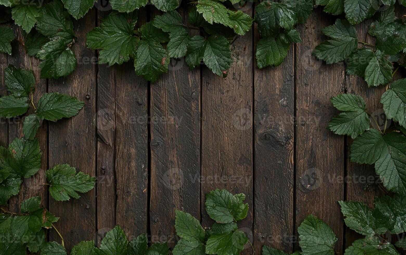 Dark wood background with green leaves photo