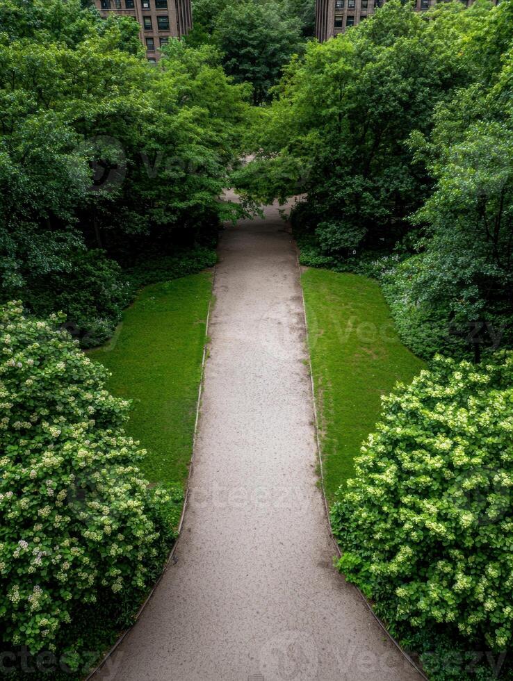 A tranquil pathway winds through a lush green park, offering a serene escape from the urban landscape photo