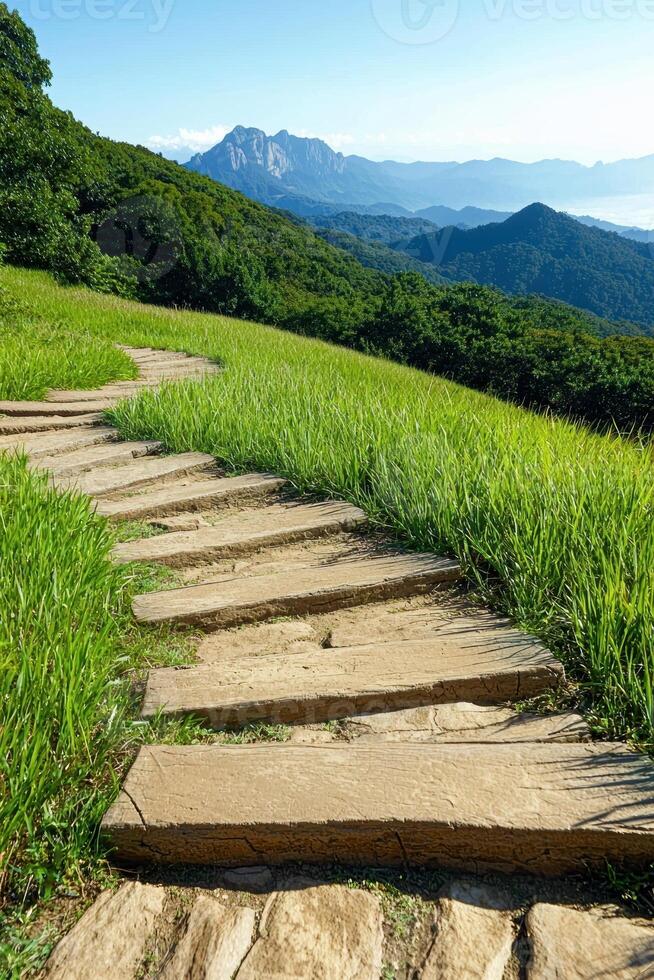 Stone steps winding through a grassy hillside towards a mountain range photo