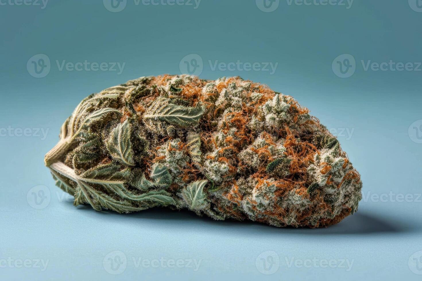 Closeup of a cannabis bud with orange hairs and trichomes photo
