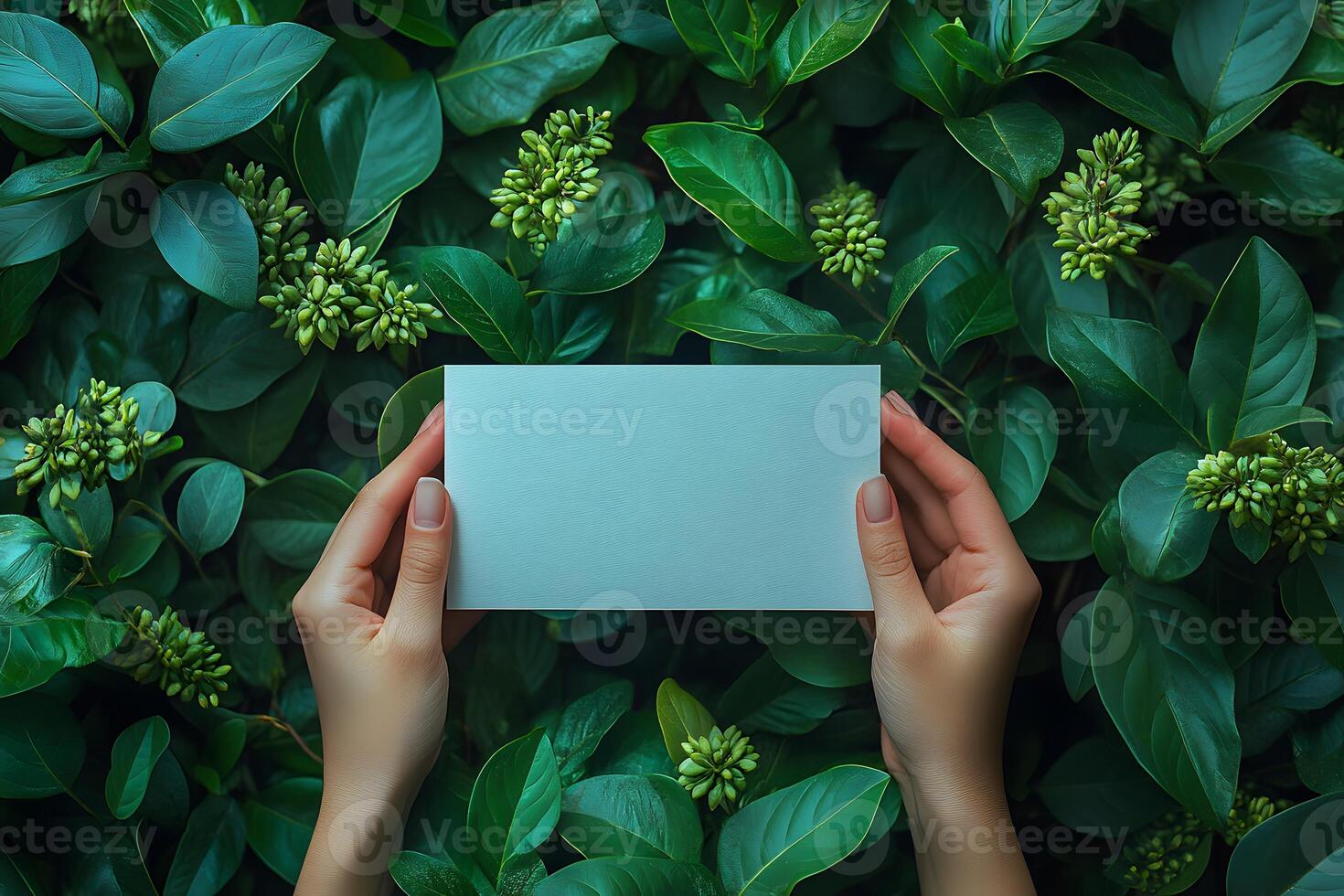 Hands Presenting Blank Paper Amidst Lush Green Leaves - Nature Concept for Design and Print photo