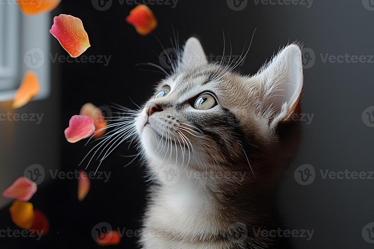 Captivated Kitten Observing Floating Petals in Serene Light photo