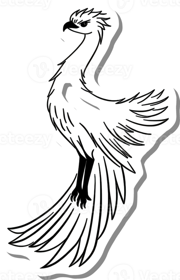 Majestic Bird with Long Tail Feathers and Sharp Beak png