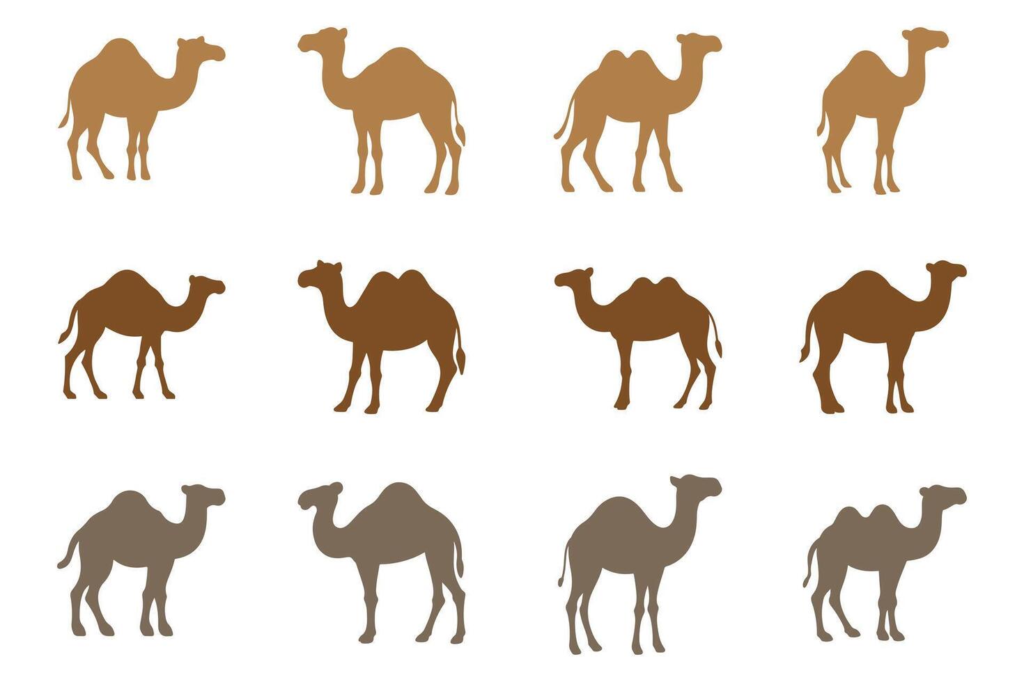 Simple Camel Illustration Design Set vector